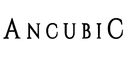Ancubic Group