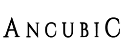 Ancubic Group