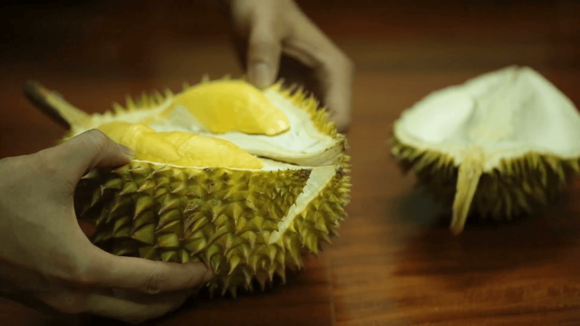 SherNie Hardcore Developer